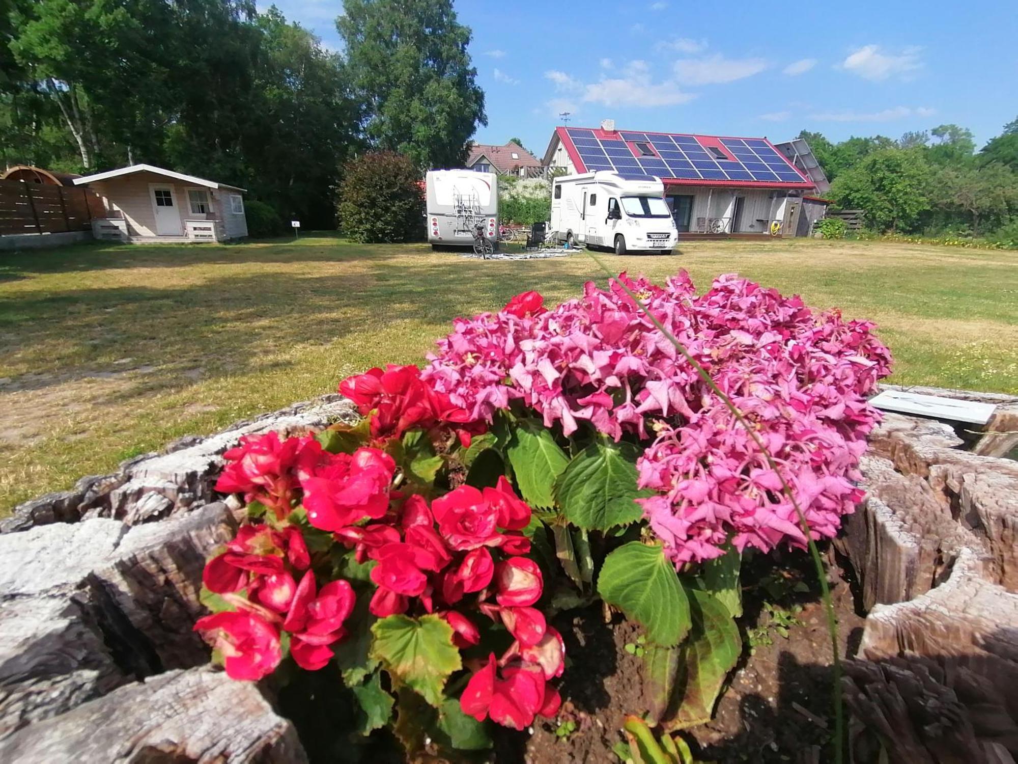 Piibelehe Guest Accommodation Kuressaare Zewnętrze zdjęcie