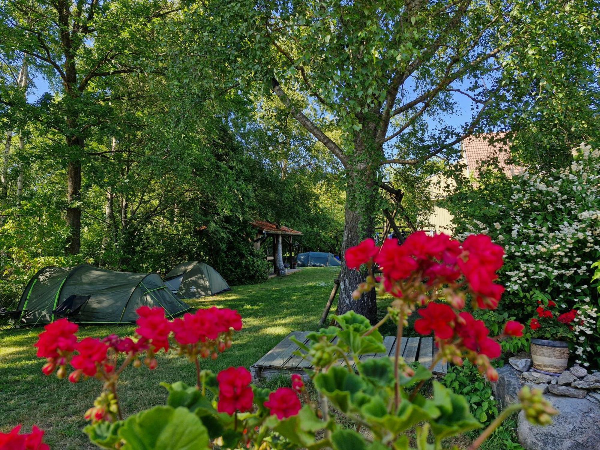 Piibelehe Guest Accommodation Kuressaare Zewnętrze zdjęcie